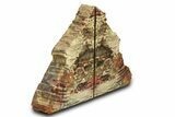 Tall, Petrified Wood Bookends with Fungal Rot - Arizona #307943-2